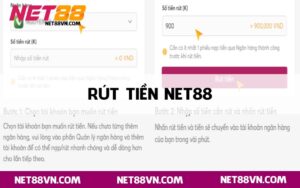 Rút tiền Net88